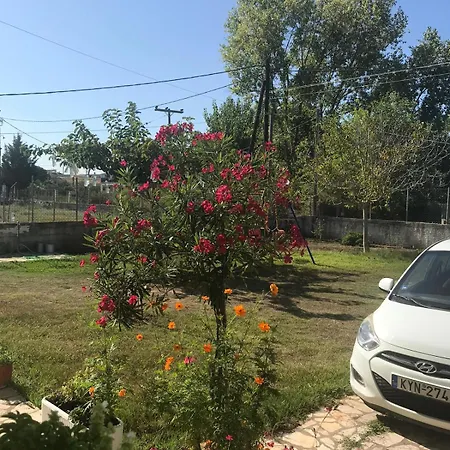 Aristidis Apartments Agios Georgios  Zewnętrze zdjęcie